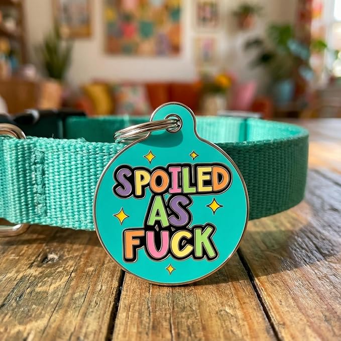 Bad Tags Personalized Dog and Cat ID Tags in 25+ Designs and 2 Sizes - 5 Lines of Custom Engraved Text - Funny Cute Personalized Pet Tags (Spoiled As F*ck, Large (1.25 inch))