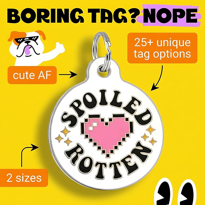 Bad Tags Personalized Dog and Cat ID Tags in 25+ Designs and 2 Sizes - 5 Lines of Custom Engraved Text - Funny Cute Personalized Pet Tags (Spoiled Rotten, Large (1.25 inch))