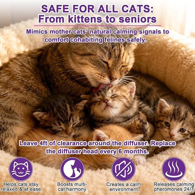 6-In-1 Advanced Cat Pheromone Calming Diffuser 120 Days (2 Plugs+4 Refills) | Relieve Anxiety, Help Reduce Fighting, Spraying & Scratching, Drug-Free & Odorless Safe Relaxation Solution