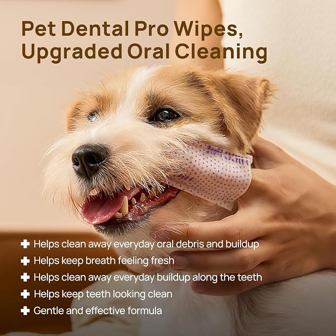 HICC PET Pro Dog Teeth Cleaning Finger Wipes for Dogs & Cats, No-Rinse Daily Oral Care Wipes, Soft Textured Finger Wipes for Teeth & Gum Cleaning, Dog Toothbrush Alternative, 50 Count, Mint