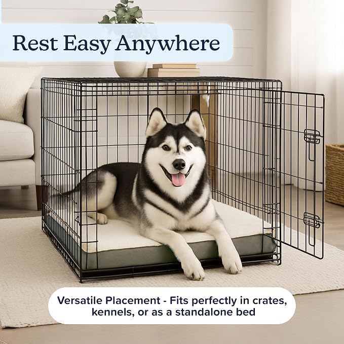 Orthopedic Dog Bed - 2-Layer 44x35-Inch Memory Foam Pet Mattress with Machine-Washable Sherpa Cover for Large Dogs up to 100lbs by PETMAKER (Gray)