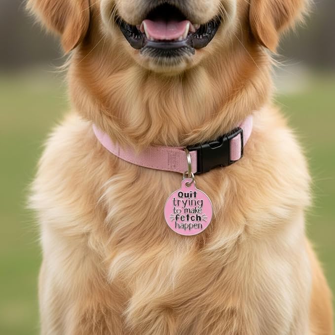 Bad Tags Personalized Dog and Cat ID Tags in 25+ Designs and 2 Sizes - 5 Lines of Custom Engraved Text - Funny Cute Personalized Pet Tags (Quit Trying to Make Fetch Happen, Large (1.25 inch))
