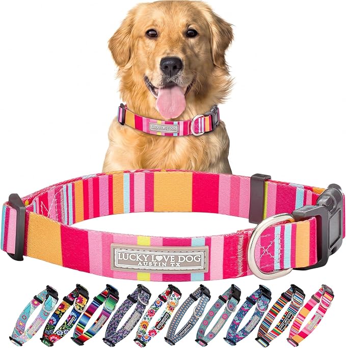 Lucky Love Cute Dog Collar for Girl Dogs - Colorful Stripes, Yellow, Pink, Blue - Large, Molly Collar