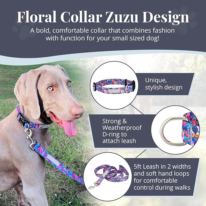 Lucky Love Dog - Adjustable Dog Collar with Easy Click Buckle for Small Dogs, Durable, & Comfortable Collar for Male & Female Dogs, Pet Collar for Puppies & Adult Dogs - Zuzu, Small