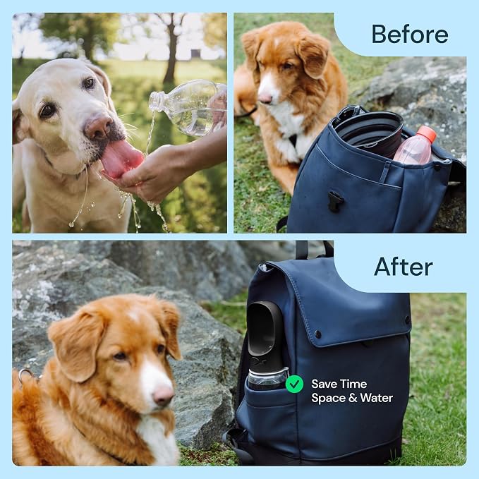 MalsiPree Dog Water Bottle Dispenser - 12 oz Black, Leak-Proof | 12oz leak-proof bottle - one-hand use - built-in bowl - Use for dog walks, travel, hiking & beach days