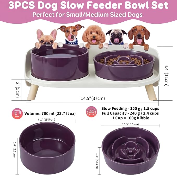 Elevated Slow Feeder Dog Bowls - Ceramic Food and Water Bowl Set with Stand - Raised Pet Dishes for Small and Medium Sized Dogs