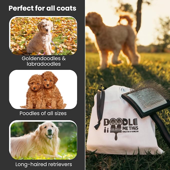 Slicker Dog Brush - Detangle - Large, Black