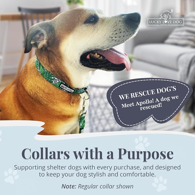 Lucky Love Dog Collar and Leash Set, Beautiful & Vivid Patterns, Easy On & Off Clasp Accessory (Blue Laguna, M Combo)