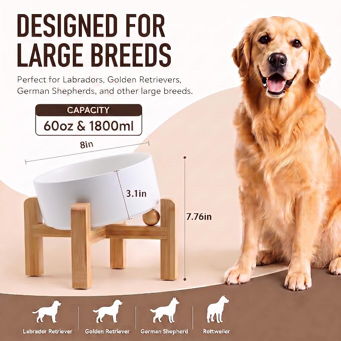 hjn Elevated Ceramic Dog Bowl 15°Slanted Raised Dog Bowl with Bamboo Stand for Small Medium Dogs and Cats, Pet Feeder -7.6-Cup (1800ml)-White