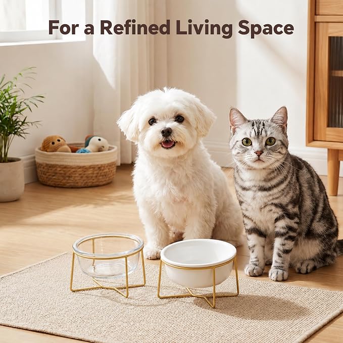 White Small Ceramic Tilted Elevated Cat Dog Bowl Raised Cat Food Water Bowl Dish Pet Comfort Feeding Bowls with Gold Iron Stand