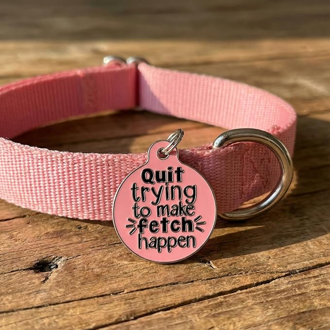 Bad Tags Personalized Dog and Cat ID Tags in 25+ Designs and 2 Sizes - 5 Lines of Custom Engraved Text - Funny Cute Personalized Pet Tags (Quit Trying to Make Fetch Happen, Small (1 inch))