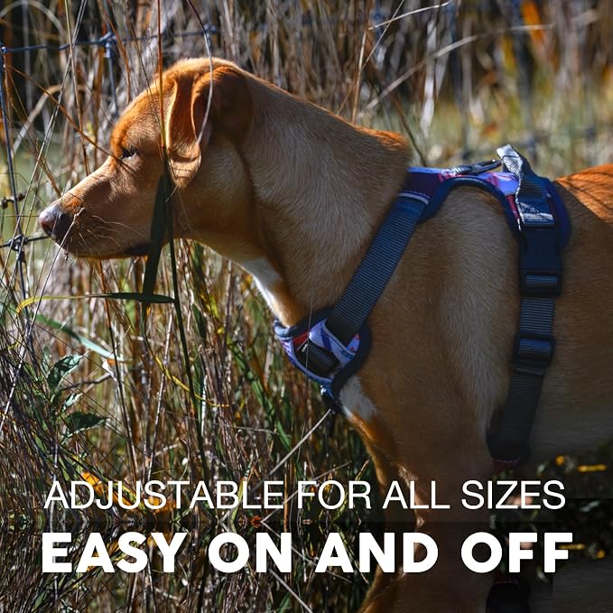Embark Adventure Medium Dog Harness – No-Pull, Reflective Trim, Military-Grade Nylon, Front Clip with Gel-Lined Handle