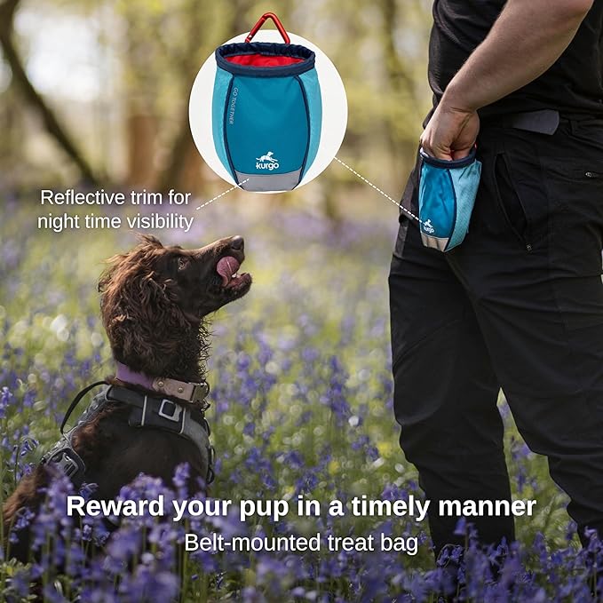 Kurgo Go Stuff It Dog Treat Bag, Coastal Blue | MOLLE-Compatible Training Pouch with Drawstring Closure, Zippered Storage Pocket, Reflective for Nighttime Visibility