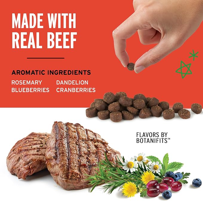 Pet Botanics 10 oz. Pouch Training Reward Mini Soft & Chewy, Beef Flavor, with 500 Treats Per Bag, The Choice of Top Trainers | High-Value Reward for Positive Reinforcement, Only 1.5 Calories Per Treat, 500 Treats Per Bag