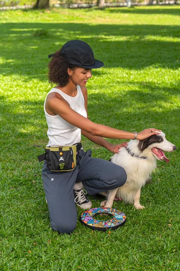 Backcountry Day Bag | Dog Training Treat Pouch | Eco-Friendly Recycled Fabric Fanny Pack with Zipper Closure, Built-in Poop Bag Dispenser & Adjustable Waist Belt (Alchemy)