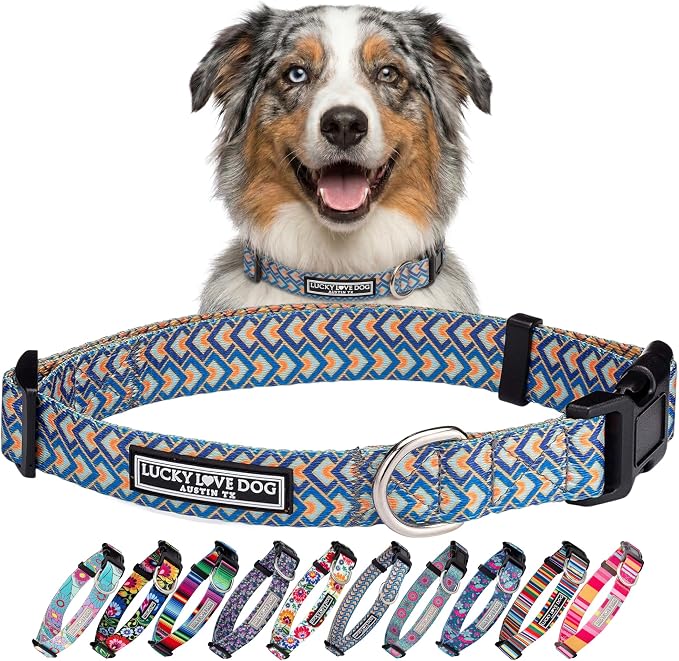Lucky Love Dog Collars, Comfortable, Soft, Cute Dog Collar for Medium Dogs, Murphy, Medium