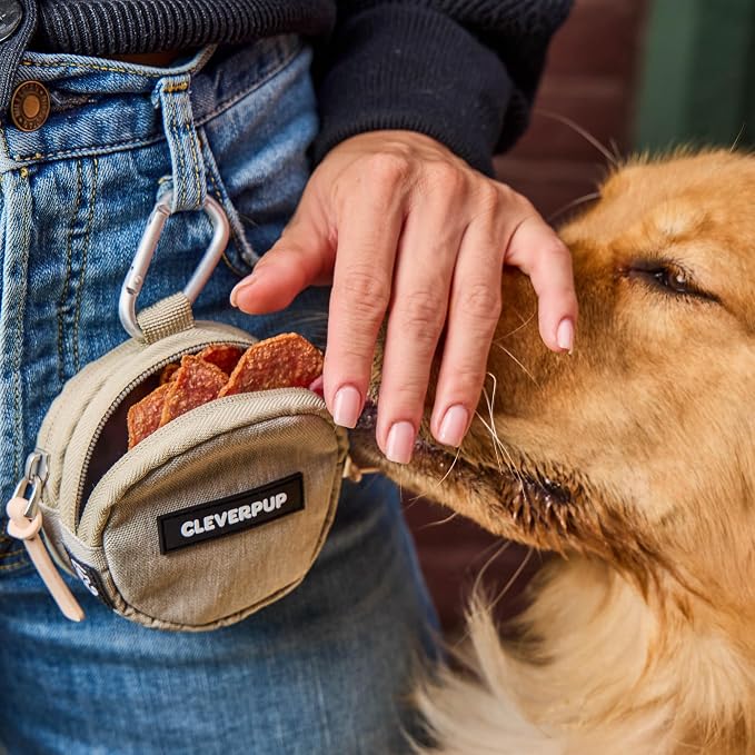 Snackpack Double Insulated Dog Treat Pouch – 1.5 Cup Capacity, 2 BPA-Free Waterproof Zipper Pockets, Carabiner for Belt/Leash – Compact Training & Travel Bag – Sand