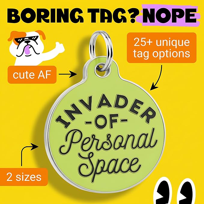 Bad Tags Personalized Dog and Cat ID Tags in 25+ Designs and 2 Sizes - 5 Lines of Custom Engraved Text - Funny Cute Personalized Pet Tags (Invader of Personal Space - Green, Small (1 inch))