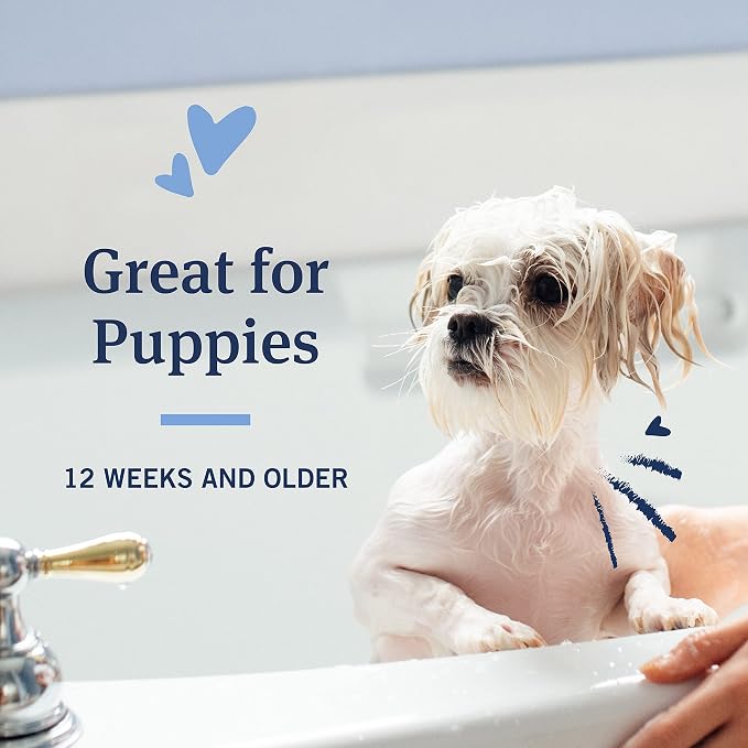 PetArmor Plus Flea & Tick Oatmeal Shampoo Dogs, 7-Day, Tropical, 18oz | Ideal for Dogs with Sensitive Skin; Kills Flea Eggs for 30 Days; not for cats; Tropical Breeze Scent