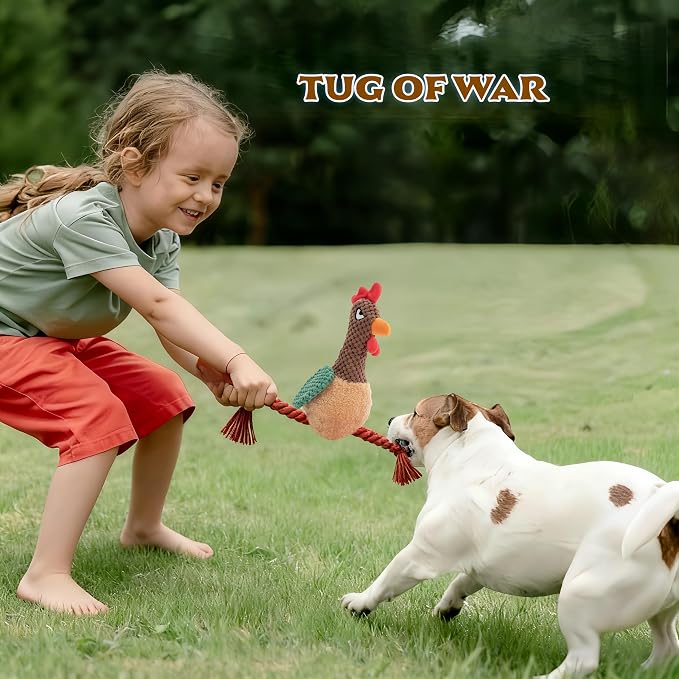Plush Chicken Dog Toy with Squeaker, Interactive Rope Legs for Small and Medium Dogs, Multicolor Tug and Fetch Chew Rooster Toy