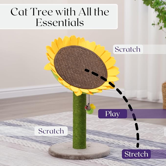 Catry Sunflower 2-in-1 Cat Scratching Post with Convertible Bed & Bee Toy | Aesthetic Sunflower Cat Scratcher with Replaceable sisal Post and Adjustable Flower Pad Ideal for Small to Medium Cats