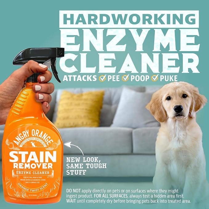 ANGRY ORANGE Pet Stain & Odor Remover for Dog Urine and Stains - Enzyme Pet Odor Eliminator for Home - Citrus - Value 2 pack