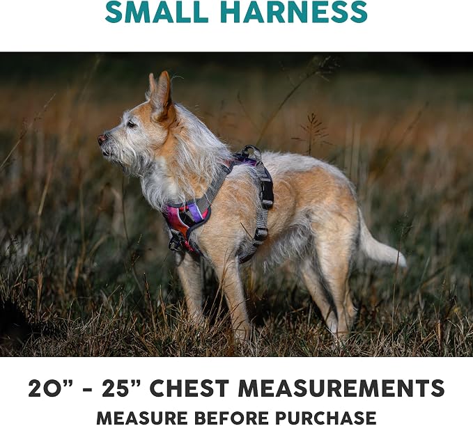 Embark Adventure Small Dog Harness – No-Pull, Reflective Trim, Military-Grade Nylon, Front Clip with Gel-Lined Handle, Soft & Padded Puppy Harness