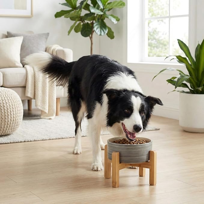 hjn Elevated Ceramic Dog Bowl with Bamboo Stand, Raised Pet Feeding Station for Small Medium Dogs Cats, Modern Design with Anti-Slip Base (White Gray, 7.6Cup)