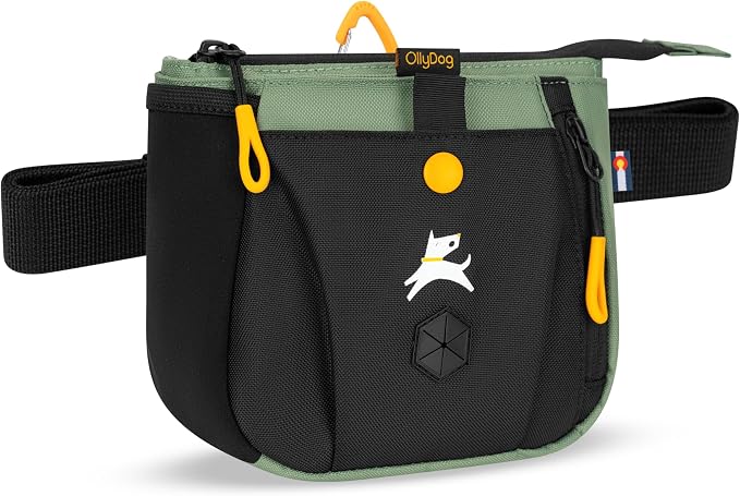 Backcountry Day Bag | Dog Training Treat Pouch | Eco-Friendly Recycled Fabric Fanny Pack with Zipper Closure, Built-in Poop Bag Dispenser & Adjustable Waist Belt (Olivine)