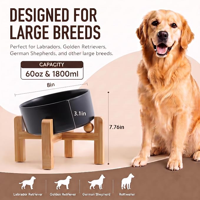 hjn Elevated Ceramic Dog Bowl 15°Slanted Raised Dog Bowl with Bamboo Stand for Small Medium Dogs and Cats, Pet Feeder -7.6-Cup (1800ml)-Black