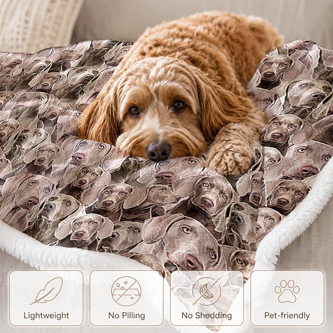 BlessLiving Weimaraner Brown Throw Blanket with Dense Dog Patterns Sherpa Fleece Blanket Couch Bed, Soft Cozy Warm Pet Blankets for Puppy Lovers Cute Animal Print Gift 50x60 Inches