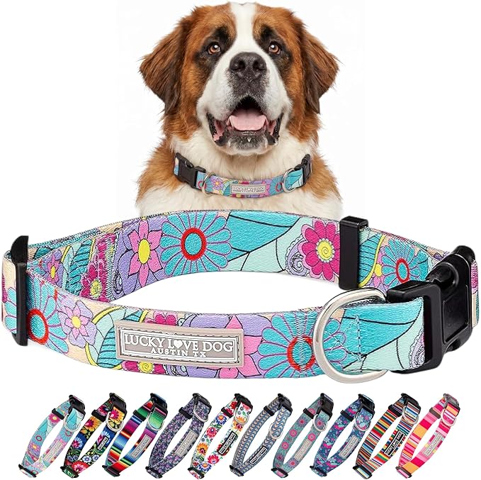Lucky Love Dog - Adjustable Dog Collar with Easy Click Buckle for Large Ones, Durable, & Comfortable for Male & Female Dogs, Pet Collar for Puppies & Adult Dogs - Caroline, XL