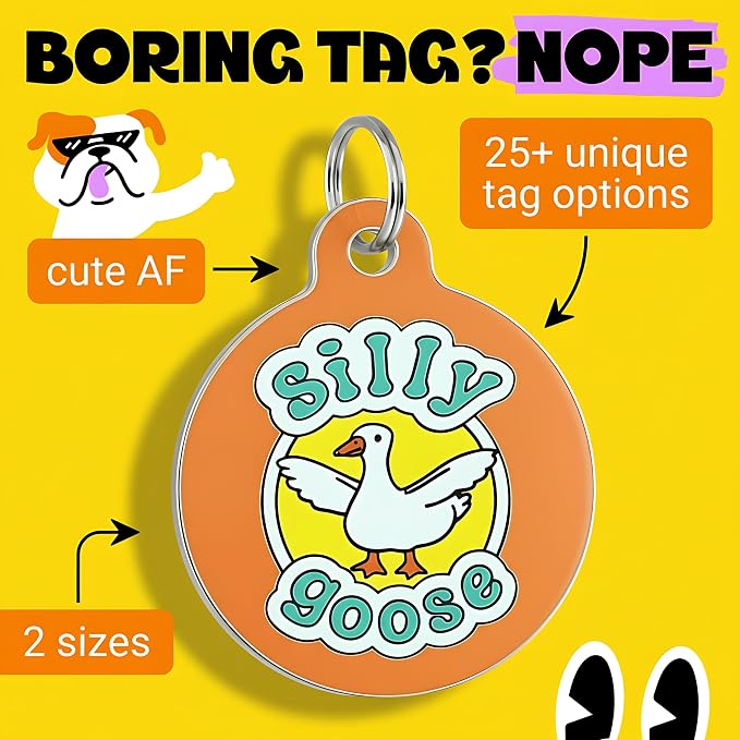 Bad Tags Personalized Dog and Cat ID Tags in 25+ Designs and 2 Sizes - 5 Lines of Custom Engraved Text - Funny Cute Personalized Pet Tags (Silly Goose, Small (1 inch))