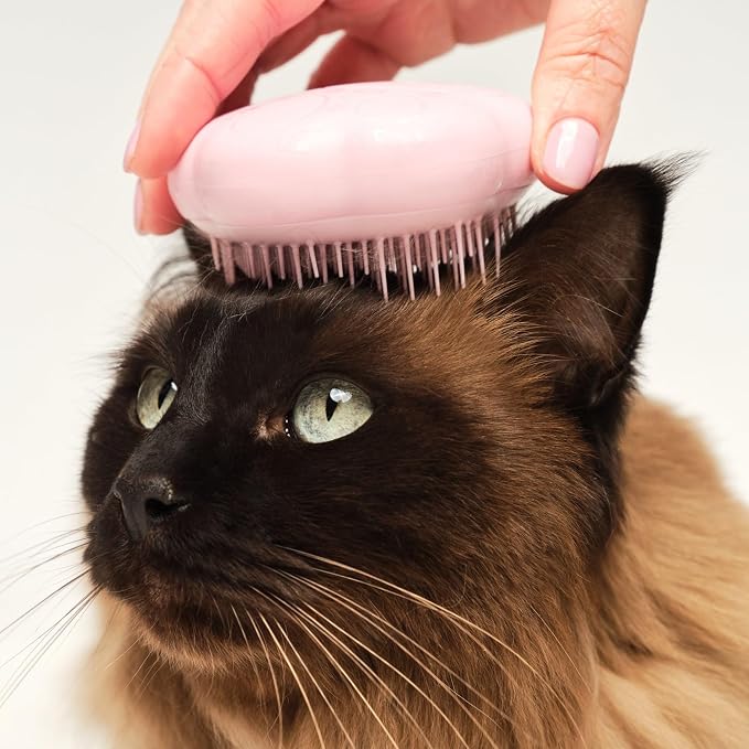 Pet Teezer Cat Brush for De-Shedding Short to Medium Fur, Millennial Pink | Cat hair brush gently de-sheds and detangles short to medium cat coats, even the finest fur, with no tugging or pulling
