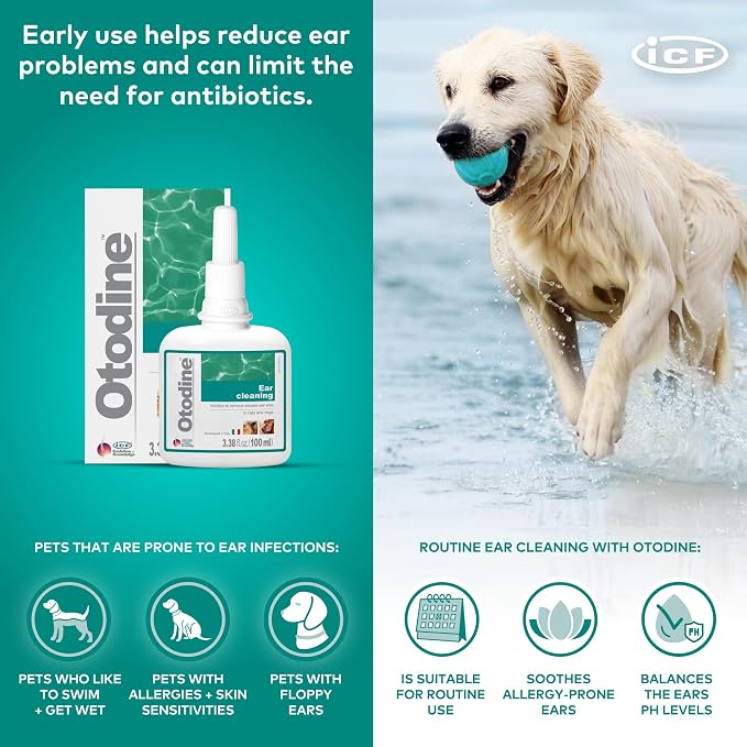 ICF Otodine Dog Ear Cleaner Solution Drops for Itchy Ears, Infections, Head Shaking, Scratching, Wax, Debris & Odor - Tris-EDTA Flush - Gentle & Safe for Cats & Puppies - 100ml