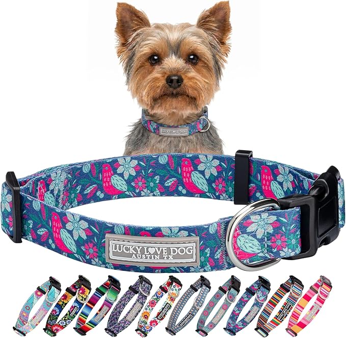 Lucky Love Dog - Adjustable Dog Collar with Easy Click Buckle for Small Ones, Durable, & Comfortable for Male & Female Dogs, Pet Collar for Puppies & Adult Dogs - Carriebelle, XS