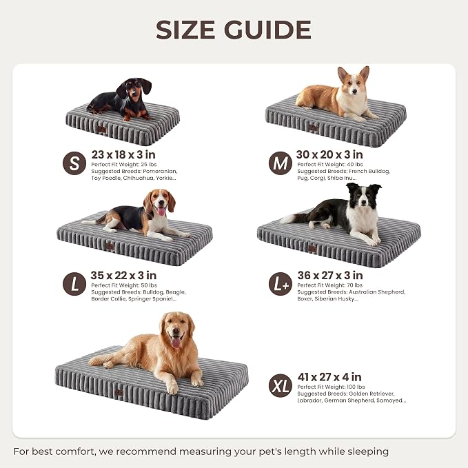 Dog Bed Large Sized for Crate, Orthopedic Pet Pad for Dogs with Removable Washable Cover, Waterproof Dogs Beds Up to 50 lbs, Soft Plush Surface & Egg Foam for Calming, 35x22x3 Inch, Grey