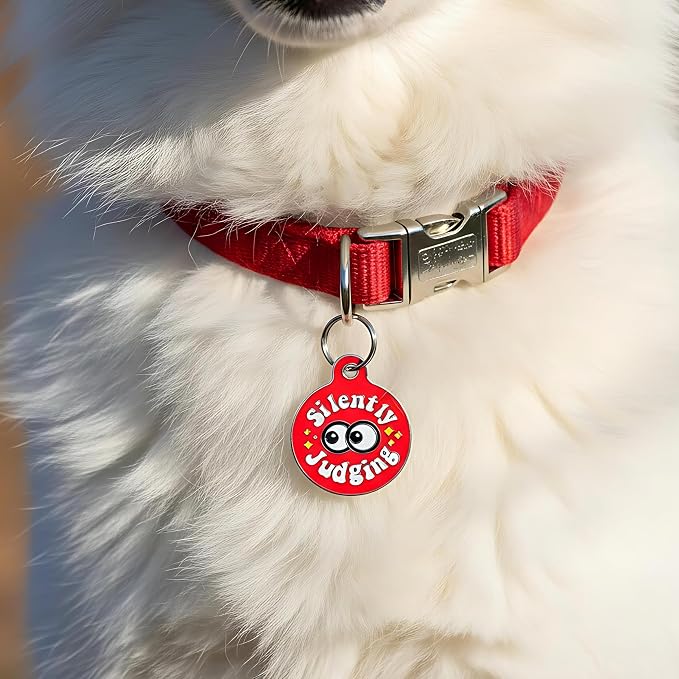 Bad Tags Personalized Dog and Cat ID Tags in 25+ Designs and 2 Sizes - 5 Lines of Custom Engraved Text - Funny Cute Personalized Pet Tags (Silently Judging - Red, Small (1 inch))