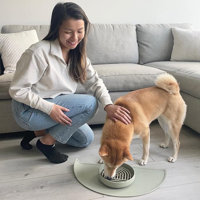Should We Go? Slow Feeder for Dogs & Puppies, The Slowdown Bowl Silicone Slow Eating, Modern Lick Mat Design, Reduces Gulping, Fits 2 Cups, 7.5” Across x 1.5” Tall, Mealtime Challenge, Medium-Sage