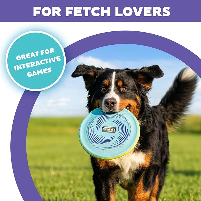 Outward Hound FlyFetch Disc Dog Toy, Aerodynamic for Fetch, Lightweight Foam & Durable Rubber, Floats in Water, All Breeds, 8.3"