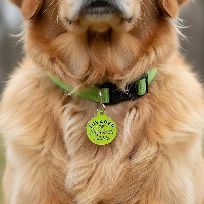 Bad Tags Personalized Dog and Cat ID Tags in 25+ Designs and 2 Sizes - 5 Lines of Custom Engraved Text - Funny Cute Personalized Pet Tags (Invader of Personal Space - Green, Small (1 inch))