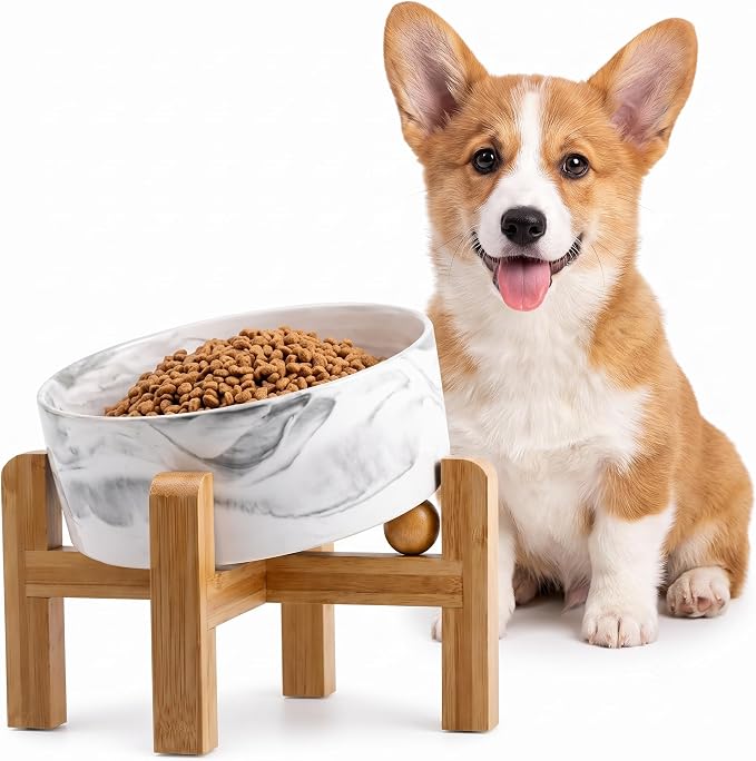 hjn Elevated Ceramic Dog Bowl 15°Slanted Raised Dog Bowl with Bamboo Stand for Small Medium Dogs and Cats, Pet Feeder -3.6-Cup (850ml)-Marble Gray
