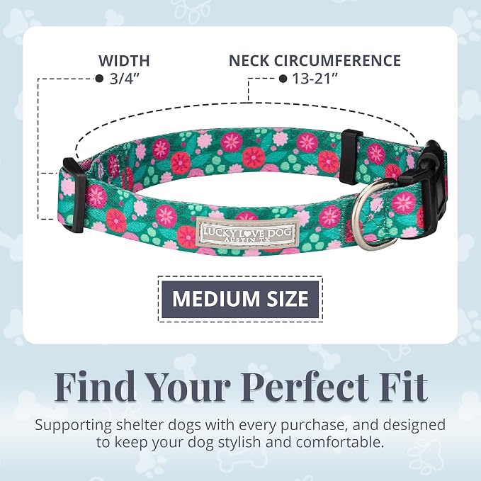 Lucky Love Dog - Adjustable Dog Collar with Easy Click Buckle for Medium Dogs, Durable, & Comfortable for Male & Female Dogs, Pet Collar for Puppies & Adult Ones - Penny, Medium