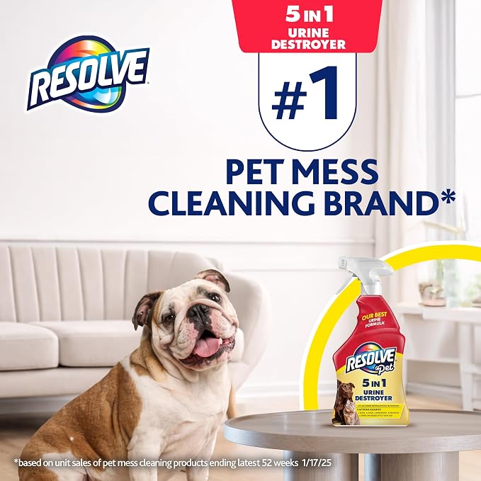 Resolve 5-in-1 Urine Destroyer Carpet Cleaner Spray – Urine Eliminator for Pet Stains & Odors Up to 7 Days Old, 22oz
