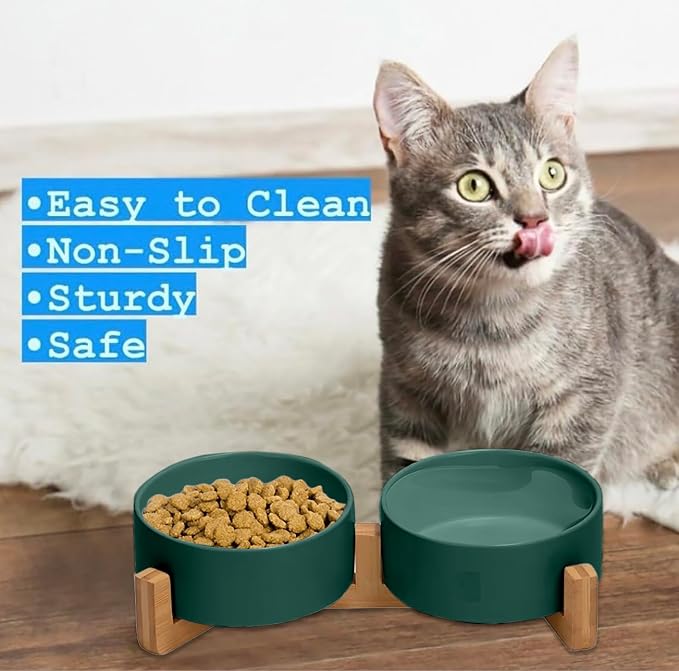 Ceramic Cat and Small Dog Bowl Set – Modern Indoor Small Size Pet Food and Water Bowls with Wood Stand – Non Slip Puppy Sized Feeding Station with Double Dishes (Green)