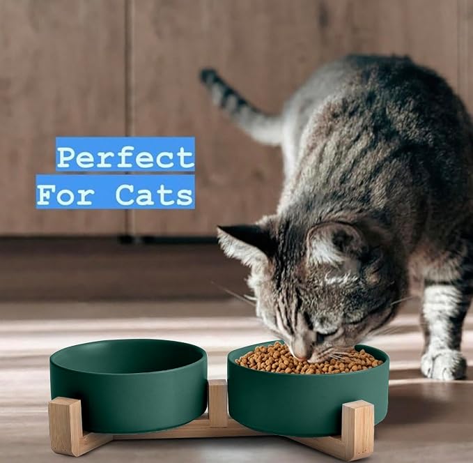 Ceramic Cat and Small Dog Bowl Set – Modern Indoor Small Size Pet Food and Water Bowls with Wood Stand – Non Slip Puppy Sized Feeding Station with Double Dishes (Green)