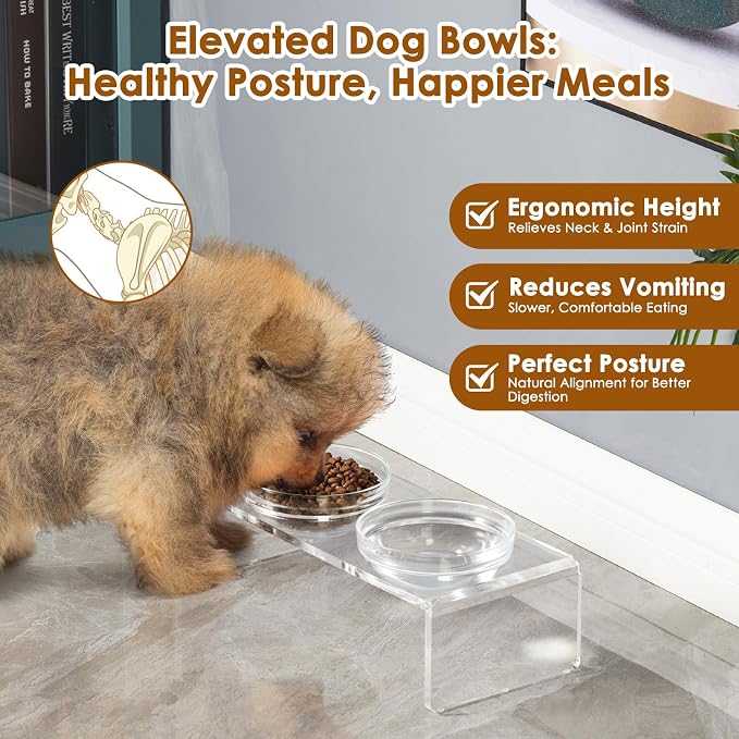 Feoyoho Elevated Acrylic Pet Bowl Stand – Raised Cat & Dog Bowls with 2 Glass & 2 Stainless Steel Bowls, Modern Clear Design, Non-Slip, Easy to Clean, Perfect for Small Pets, 3.75" Tall