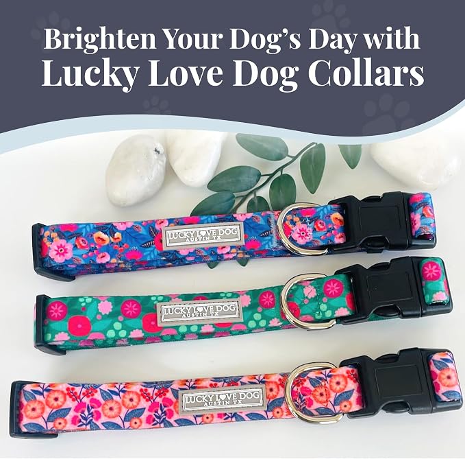 Lucky Love Dog - Adjustable Dog Collar with Easy Click Buckle for Medium, Durable, & Comfortable for Male & Female Dogs, Pet Collar for Puppies & Adult Dogs - Rosie, Medium