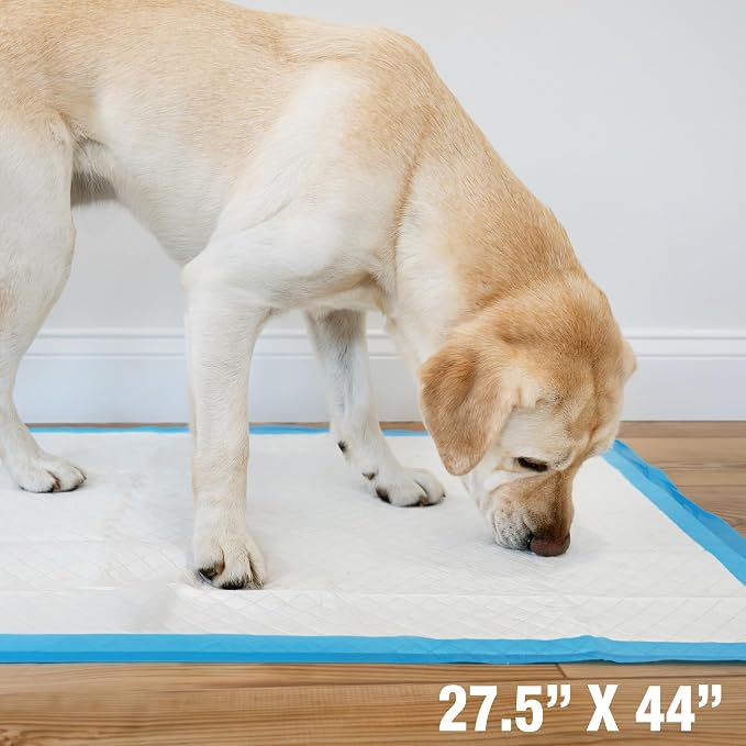 Four Paws Wee-Wee Superior Performance Pee Pads for Dogs with Runoff Barrier Edge Guard Protection, Puppy & Dog Potty Training Pads, Housebreaking Pet Supplies, 27.5" x 44" (8 Count)