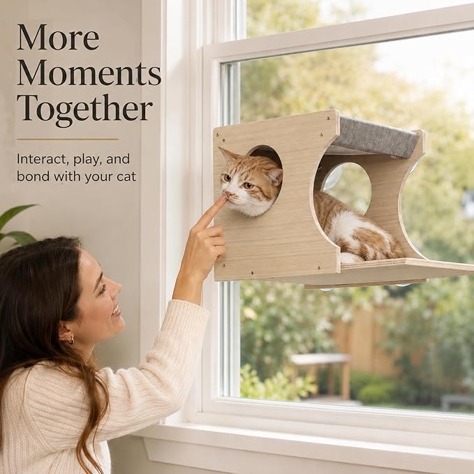 Cat Window Perch，2-Tier Hammock & Hideaway House with Strong Suction Cups | Right-opening, Drill-Free, Hold Up to 45 lb Support, For Small to Medium Cats, Let Cats Lounge, Climb and Watch Outside